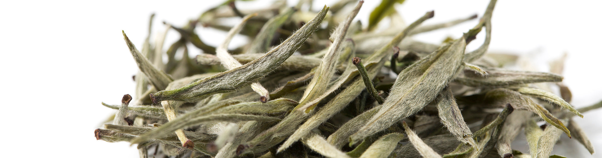 White tea is divided into four categories