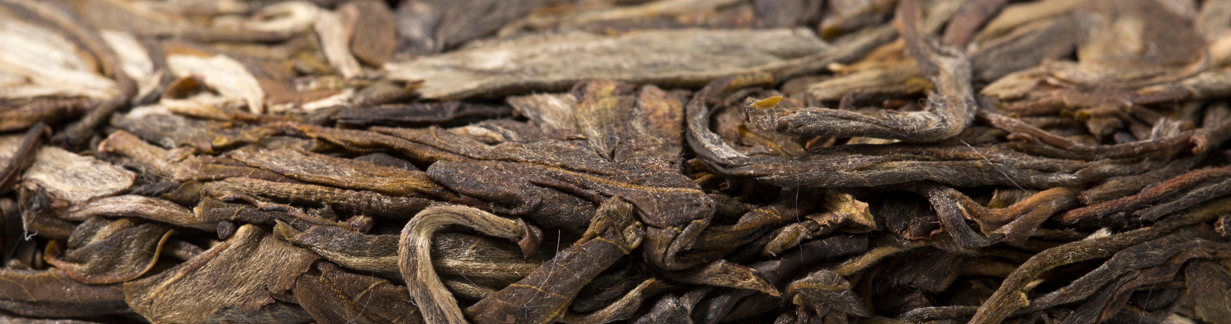 Basic Understanding of Pu erh Tea and Its Benefits