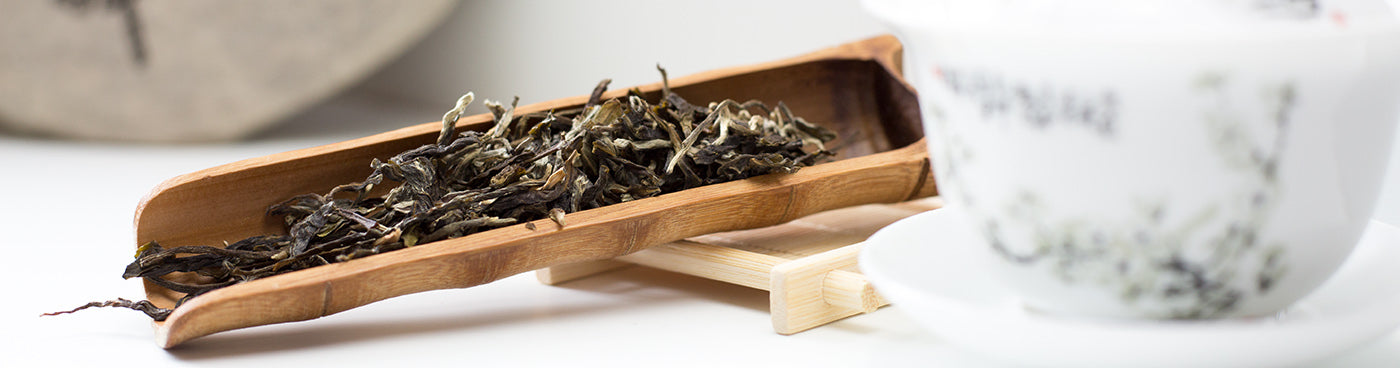 Secrets of Pu erh Tea