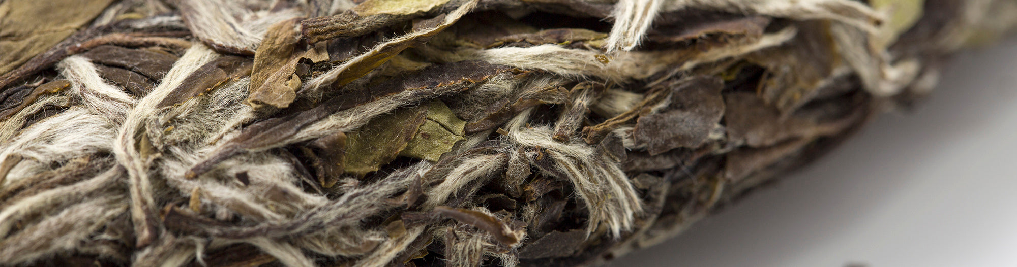 How to buy a Good Quality White Peony Tea