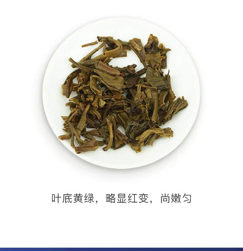brewed raw pu erh tea 7542